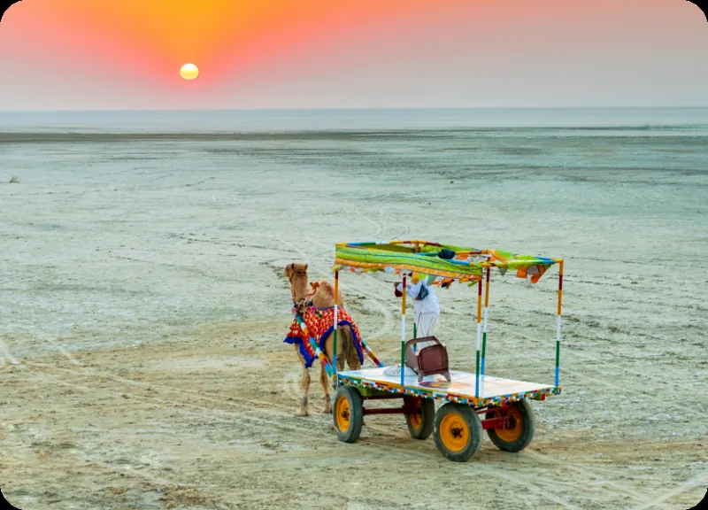 The Rann of Kutch: what to know before you go